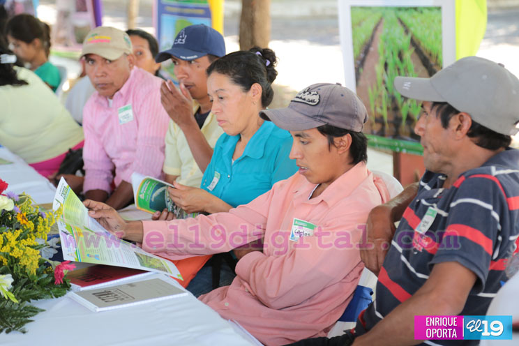 Productores de granos b&aacute;sicos abordan conservaci&oacute;n de semillas criollas